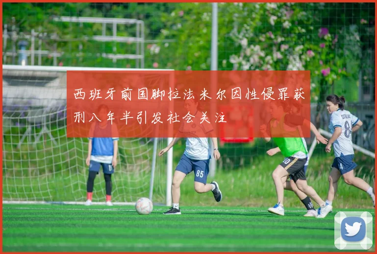 西班牙前国脚拉法米尔因性侵罪获刑八年半引发社会关注