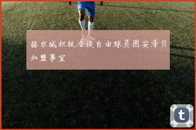 赫尔城积极洽谈自由球员图安泽贝加盟事宜