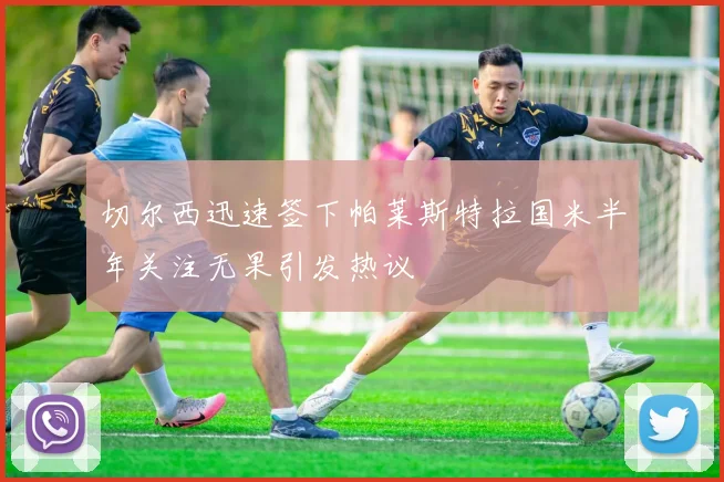 切尔西迅速签下帕莱斯特拉国米半年关注无果引发热议