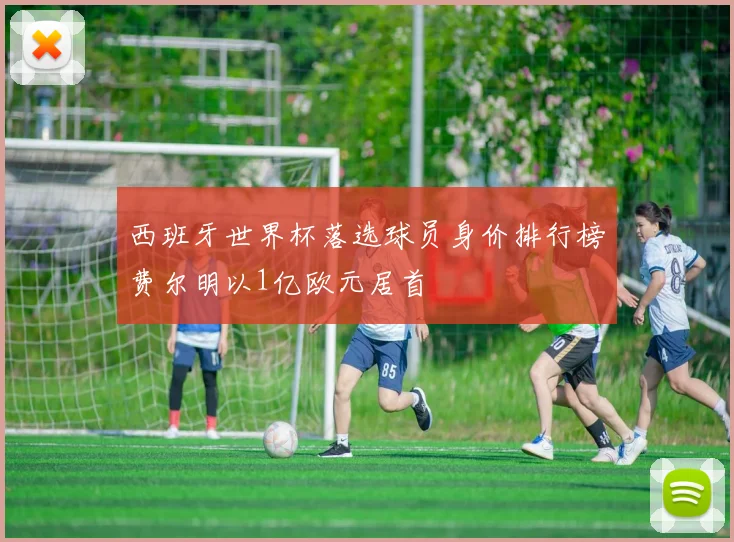 西班牙世界杯落选球员身价排行榜费尔明以1亿欧元居首
